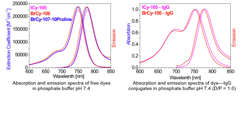 NanoQuantum: Absorption and Emission