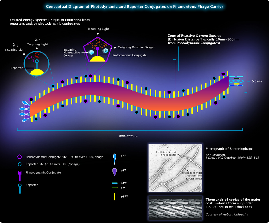 Illustration 1: Conceptual drawing of PSCN 