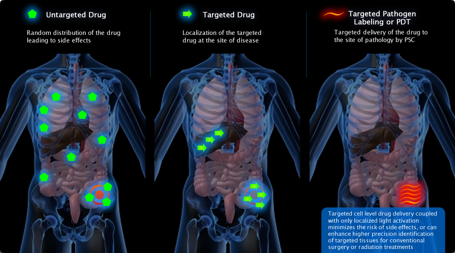 TARGETED DRUG VS PHOTOTARGETED BINARY DRUG